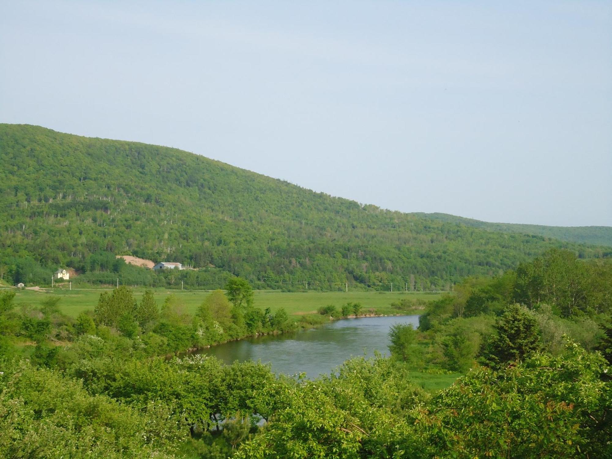 Cajun Cedar Log Cottages Margaree Forks Eksteriør bilde