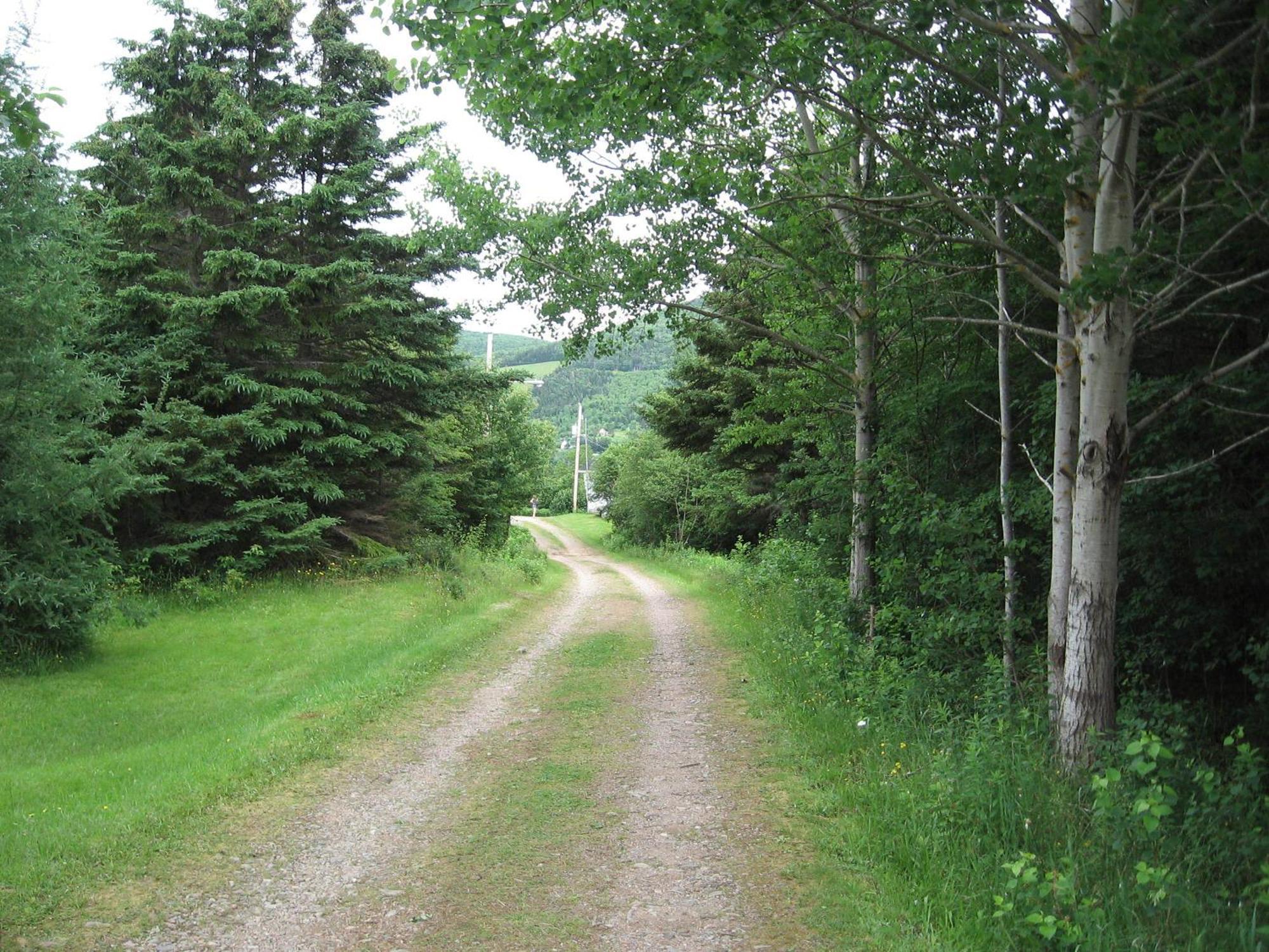 Cajun Cedar Log Cottages Margaree Forks Eksteriør bilde