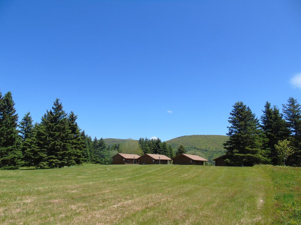 Cajun Cedar Log Cottages Margaree Forks Eksteriør bilde