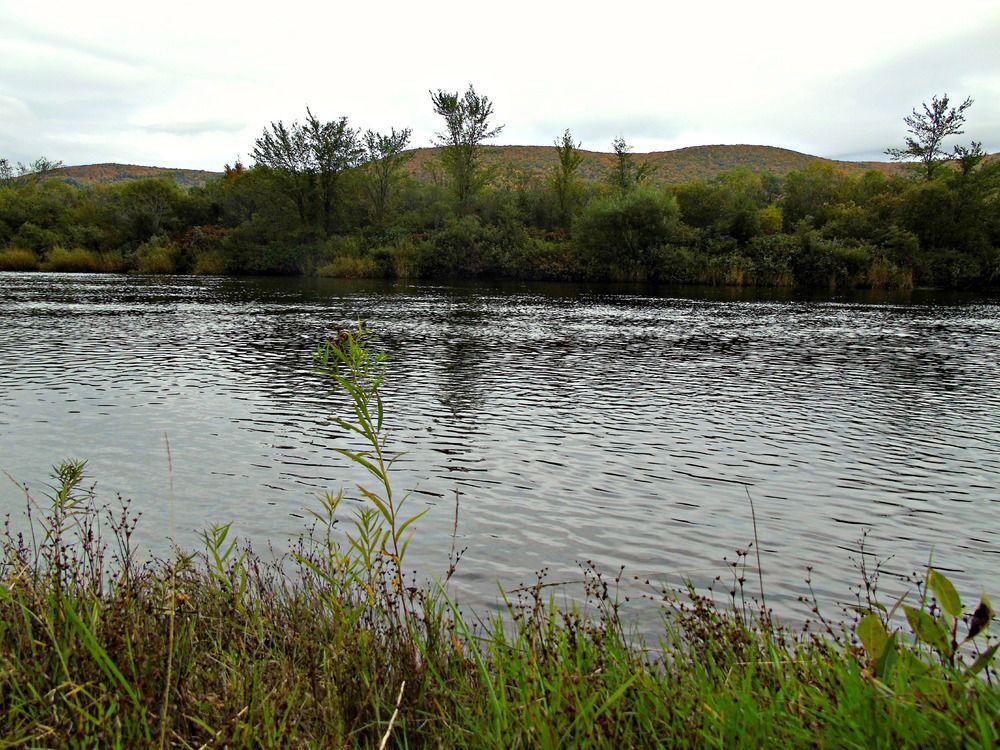 Cajun Cedar Log Cottages Margaree Forks Eksteriør bilde