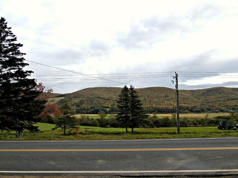 Cajun Cedar Log Cottages Margaree Forks Eksteriør bilde