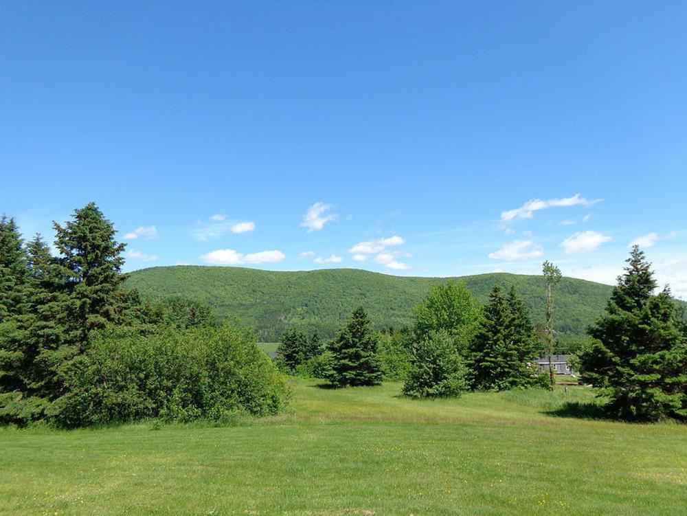 Cajun Cedar Log Cottages Margaree Forks Eksteriør bilde