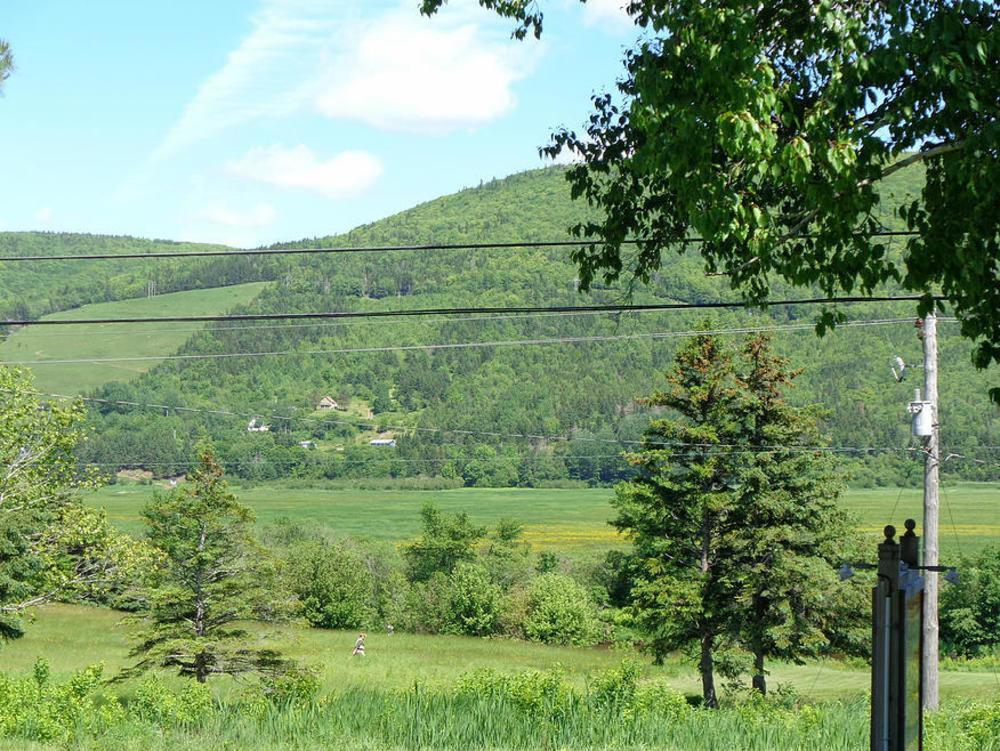 Cajun Cedar Log Cottages Margaree Forks Eksteriør bilde