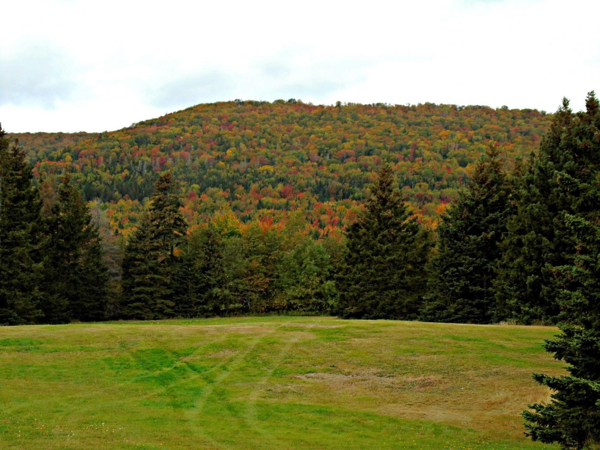 Cajun Cedar Log Cottages Margaree Forks Eksteriør bilde