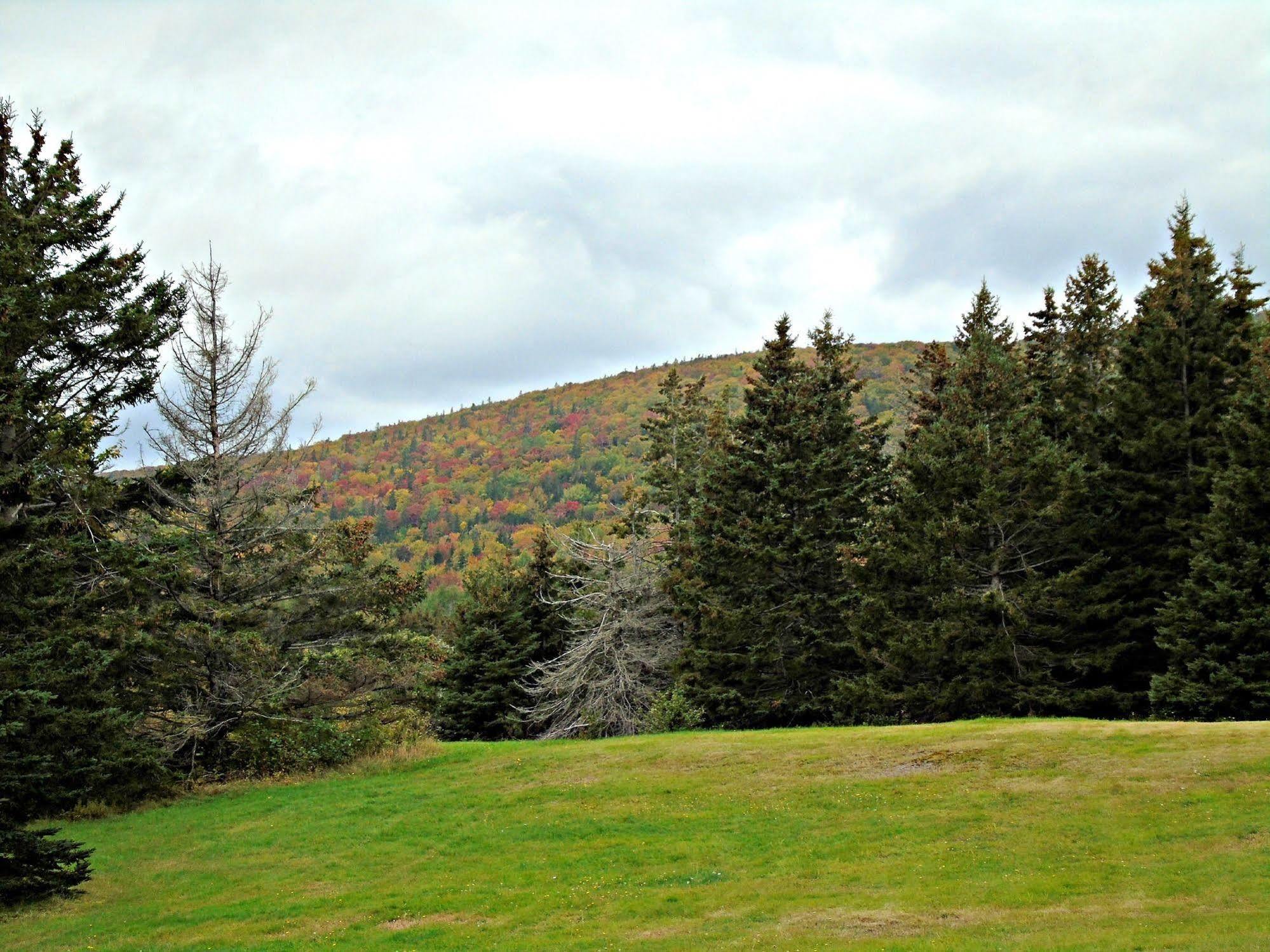 Cajun Cedar Log Cottages Margaree Forks Eksteriør bilde